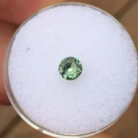 .46 CT FOREST GREEN MONTANA SAPPHIRE