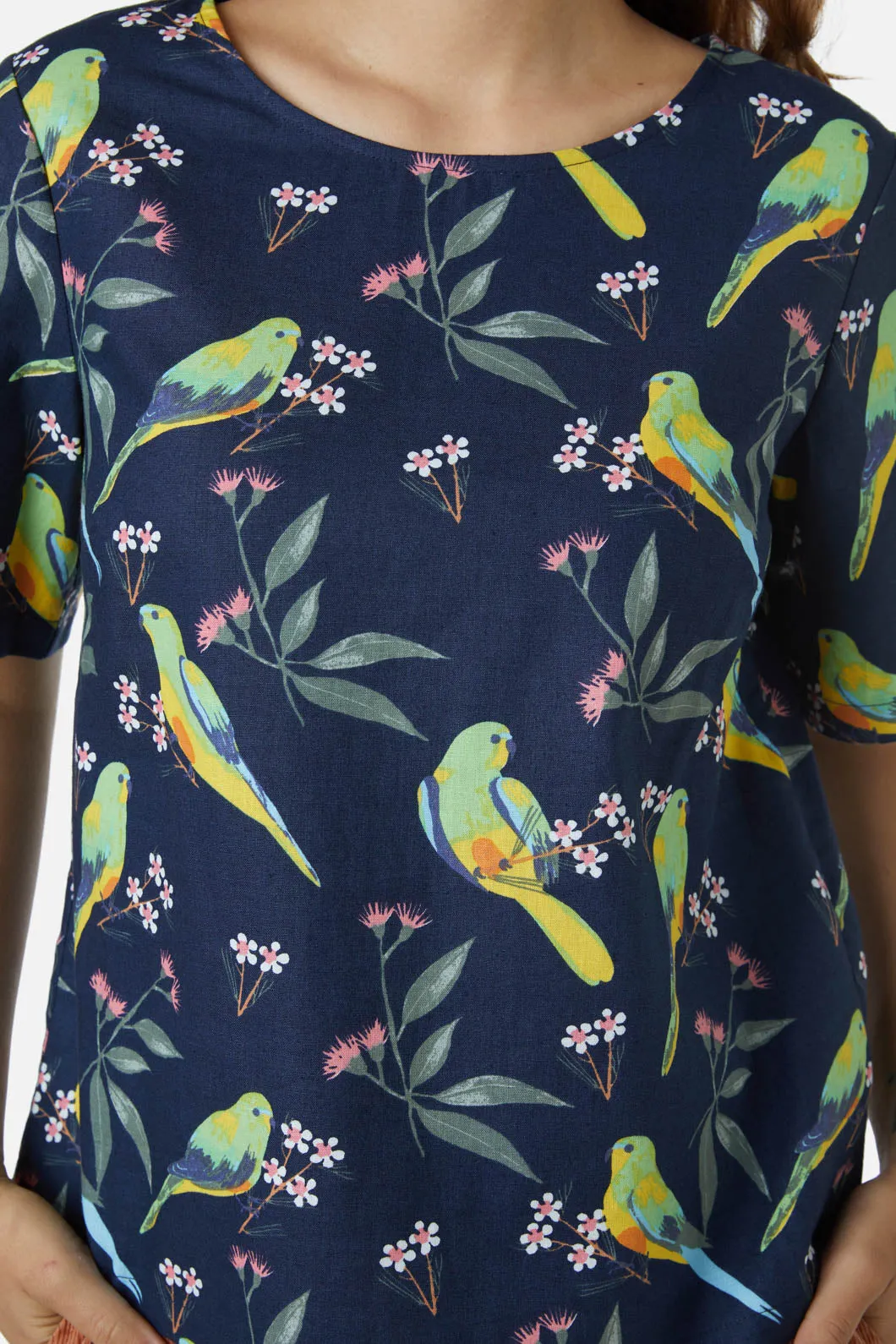 Parrot Top